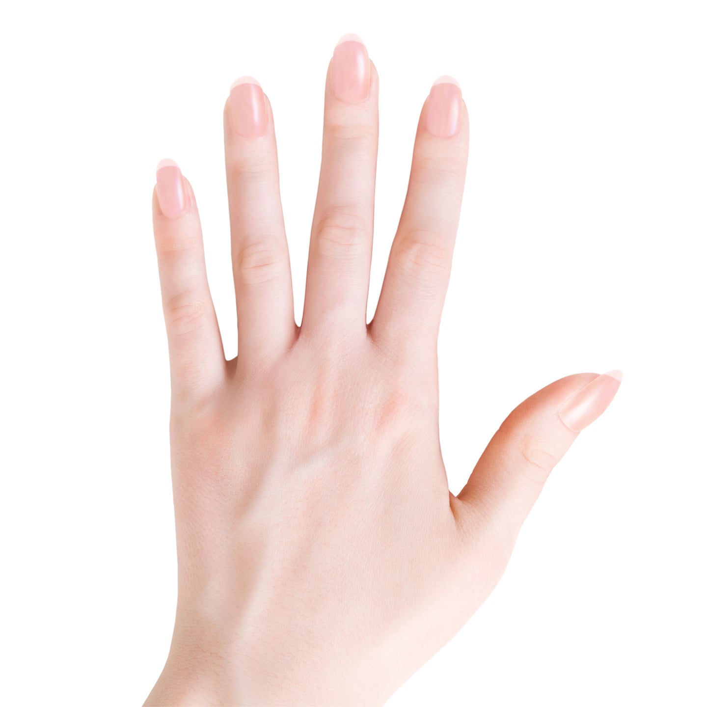 Hand Light